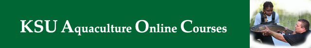 Online courses title