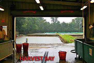 Harvest Bay