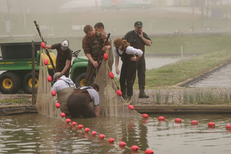 Koi seining